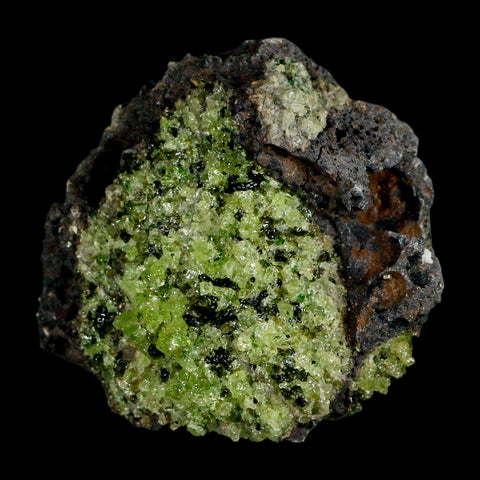 2.5" Emerald Peridot Crystals, Chrome Diopside And Spinel On Volcanic Rock Gila, AZ - Fossil Age Minerals