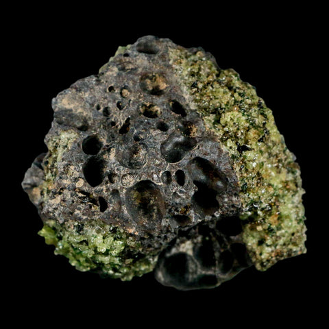 2.5" Emerald Peridot Crystals, Chrome Diopside And Spinel On Volcanic Rock Gila, AZ - Fossil Age Minerals