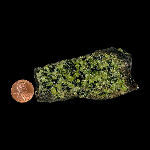 3.2" Emerald Peridot Crystals, Chrome Diopside And Spinel On Volcanic Rock Gila, AZ - Fossil Age Minerals
