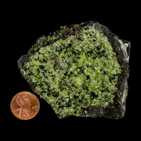 2.9" Emerald Peridot Crystals, Chrome Diopside And Spinel On Volcanic Rock Gila, AZ - Fossil Age Minerals