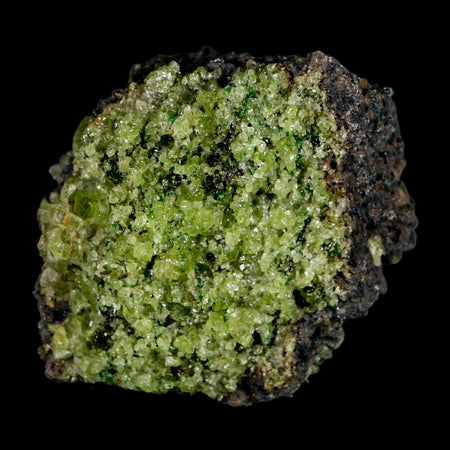 2.8" Emerald Peridot Crystals, Chrome Diopside And Spinel On Volcanic Rock Gila, AZ