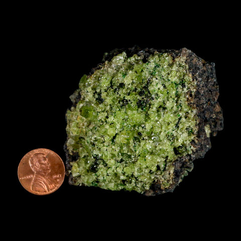 2.8" Emerald Peridot Crystals, Chrome Diopside And Spinel On Volcanic Rock Gila, AZ - Fossil Age Minerals