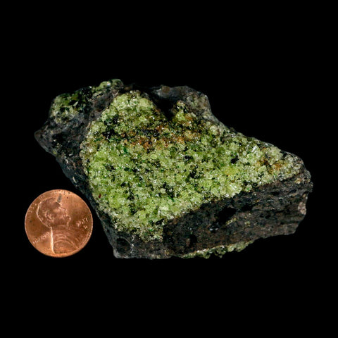 3.2" Emerald Peridot Crystals, Chrome Diopside And Spinel On Volcanic Rock Gila, AZ - Fossil Age Minerals