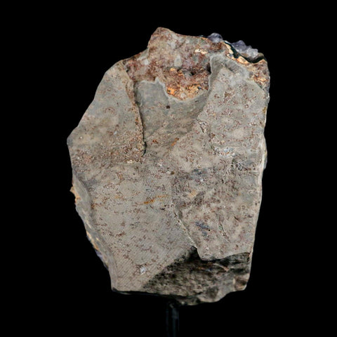 3.5" Amethyst Crystal Cluster Mineral Specimen Brazil Custom Medal Stand