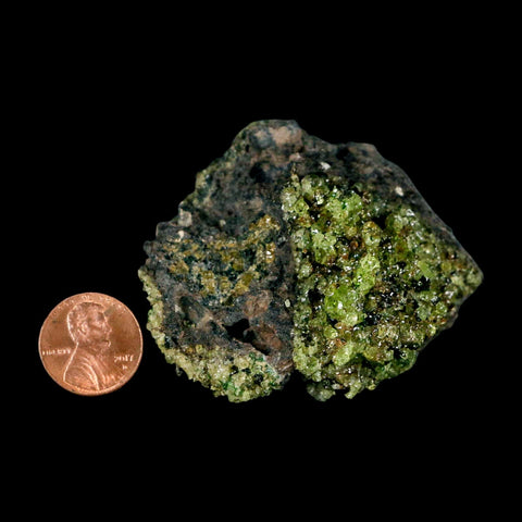 2.5" Emerald Peridot Crystals, Chrome Diopside And Spinel On Volcanic Rock Gila, AZ - Fossil Age Minerals