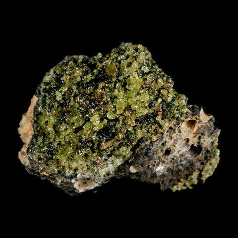 2.5" Emerald Peridot Crystals, Chrome Diopside And Spinel On Volcanic Rock Gila, AZ - Fossil Age Minerals