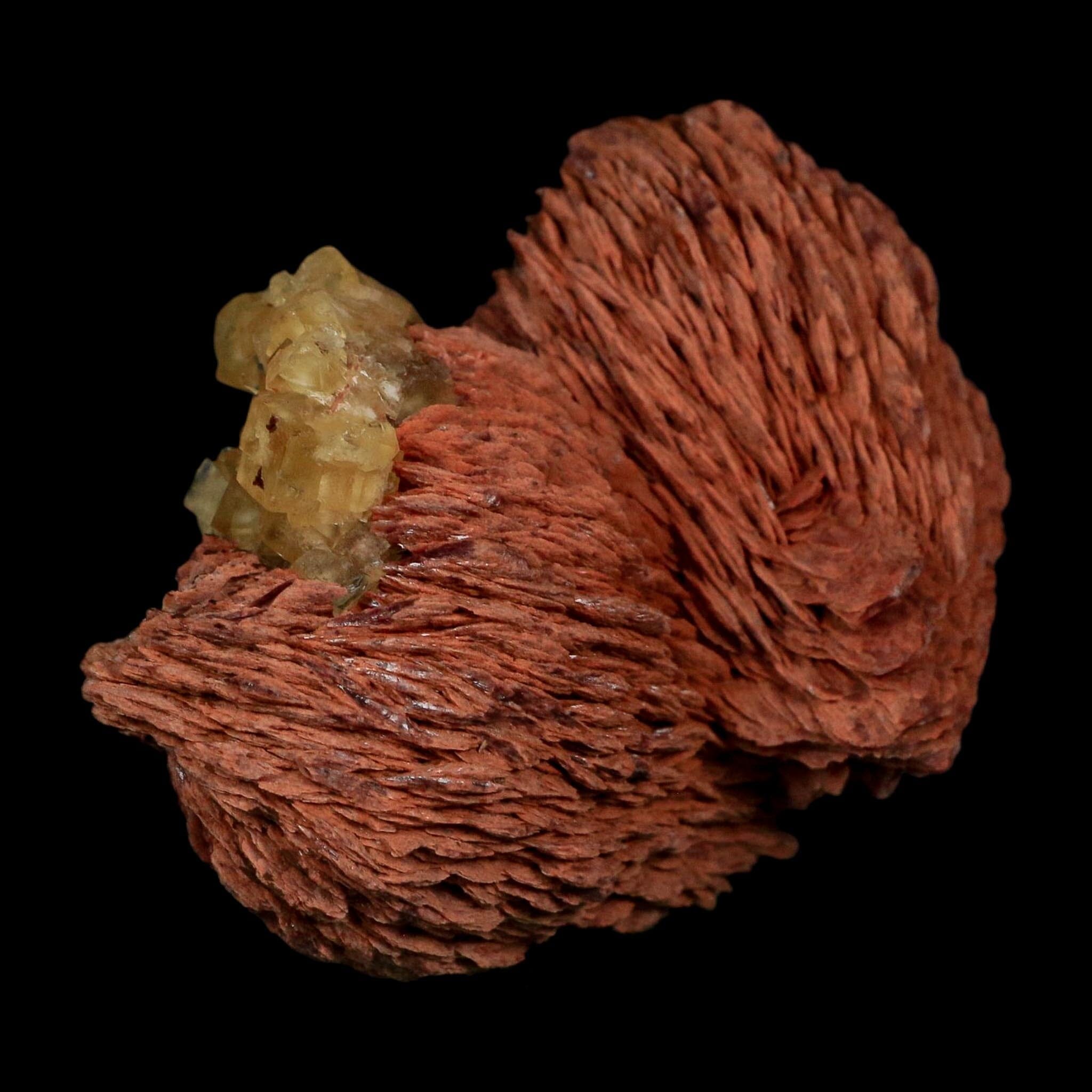 3.7" Yellow Fluorite on Orange Barite Blade Crystals Minerals Taouirirt Morocco - Fossil Age Minerals
