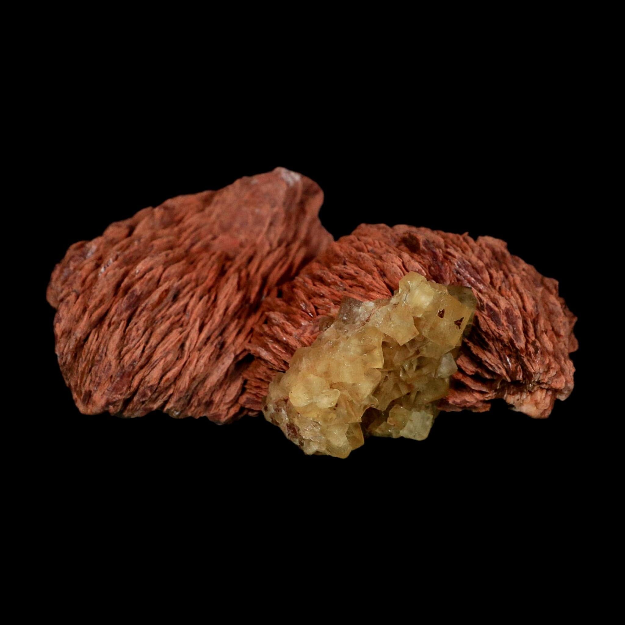3.7" Yellow Fluorite on Orange Barite Blade Crystals Minerals Taouirirt Morocco - Fossil Age Minerals