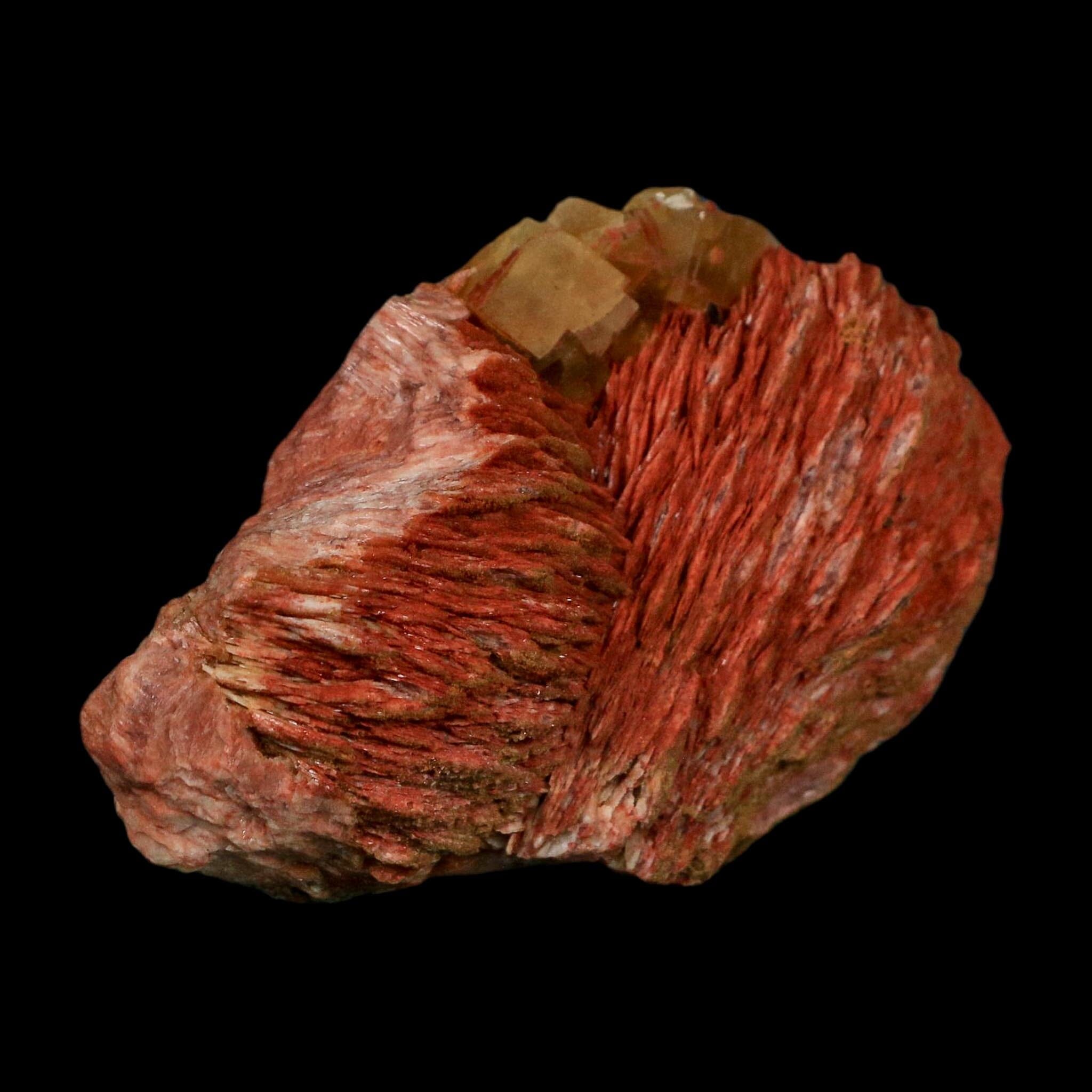 3.6" Yellow Fluorite on Orange Barite Blade Crystals Minerals Taouirirt Morocco - Fossil Age Minerals