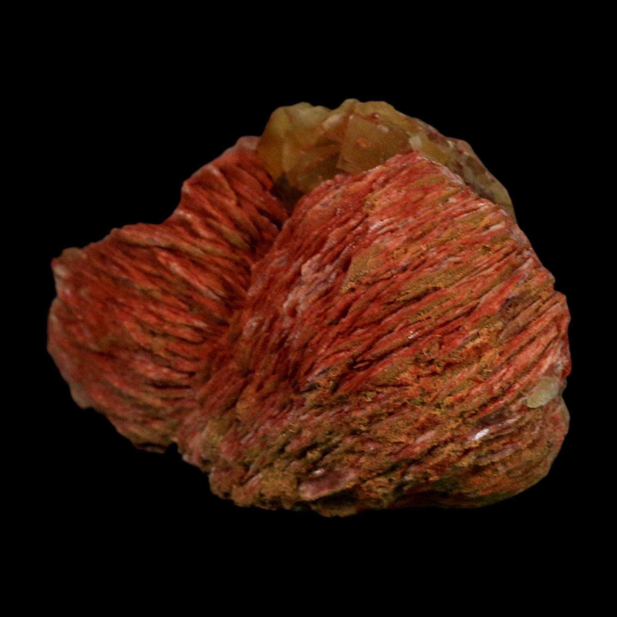 3.6" Yellow Fluorite on Orange Barite Blade Crystals Minerals Taouirirt Morocco - Fossil Age Minerals