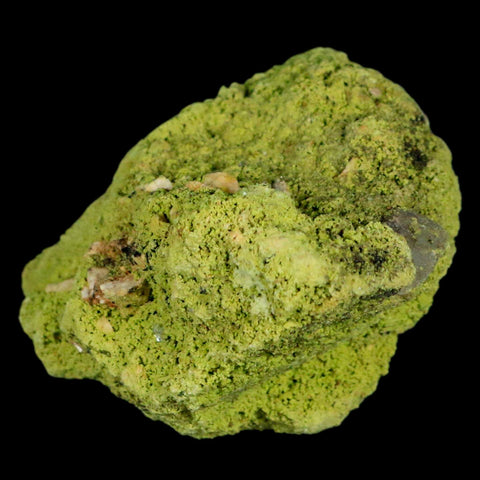 3.6" Rough Green Nontronite Mineral Specimen Jove Lauriano Minas Gerais Brazil - Fossil Age Minerals