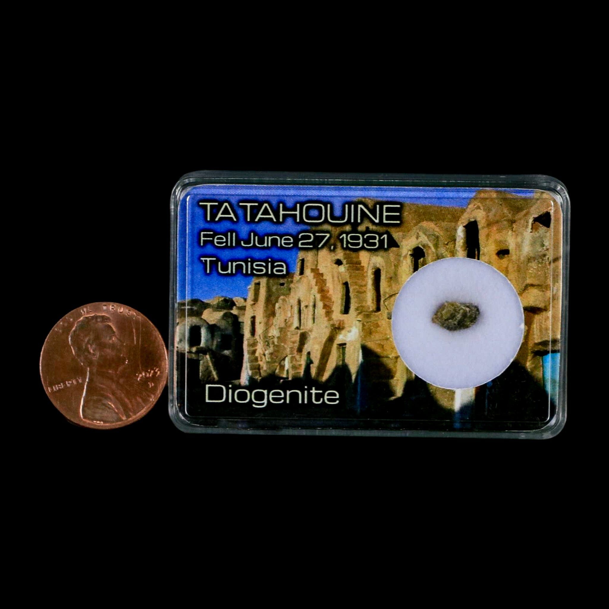 Tatahouine Diogenite Stony Meteorite Achondrites Specimen Fell June 24, 1931 Display - Fossil Age Minerals