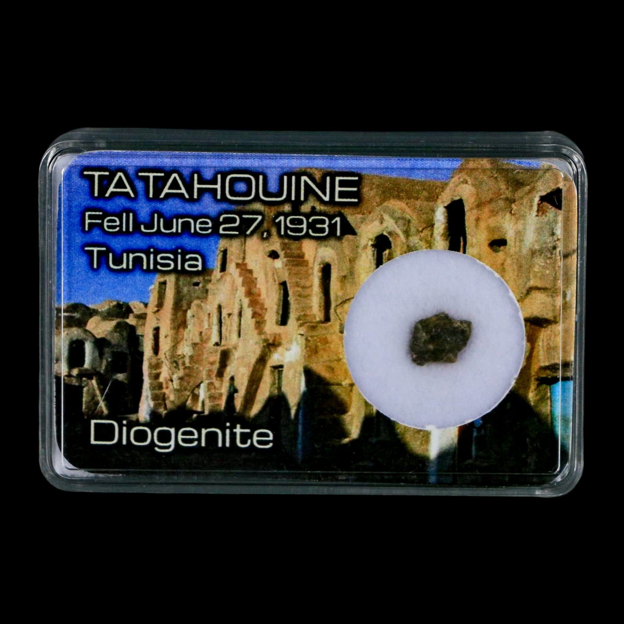 Tatahouine Diogenite Stony Meteorite Achondrites Specimen Fell June 24, 1931 Display - Fossil Age Minerals