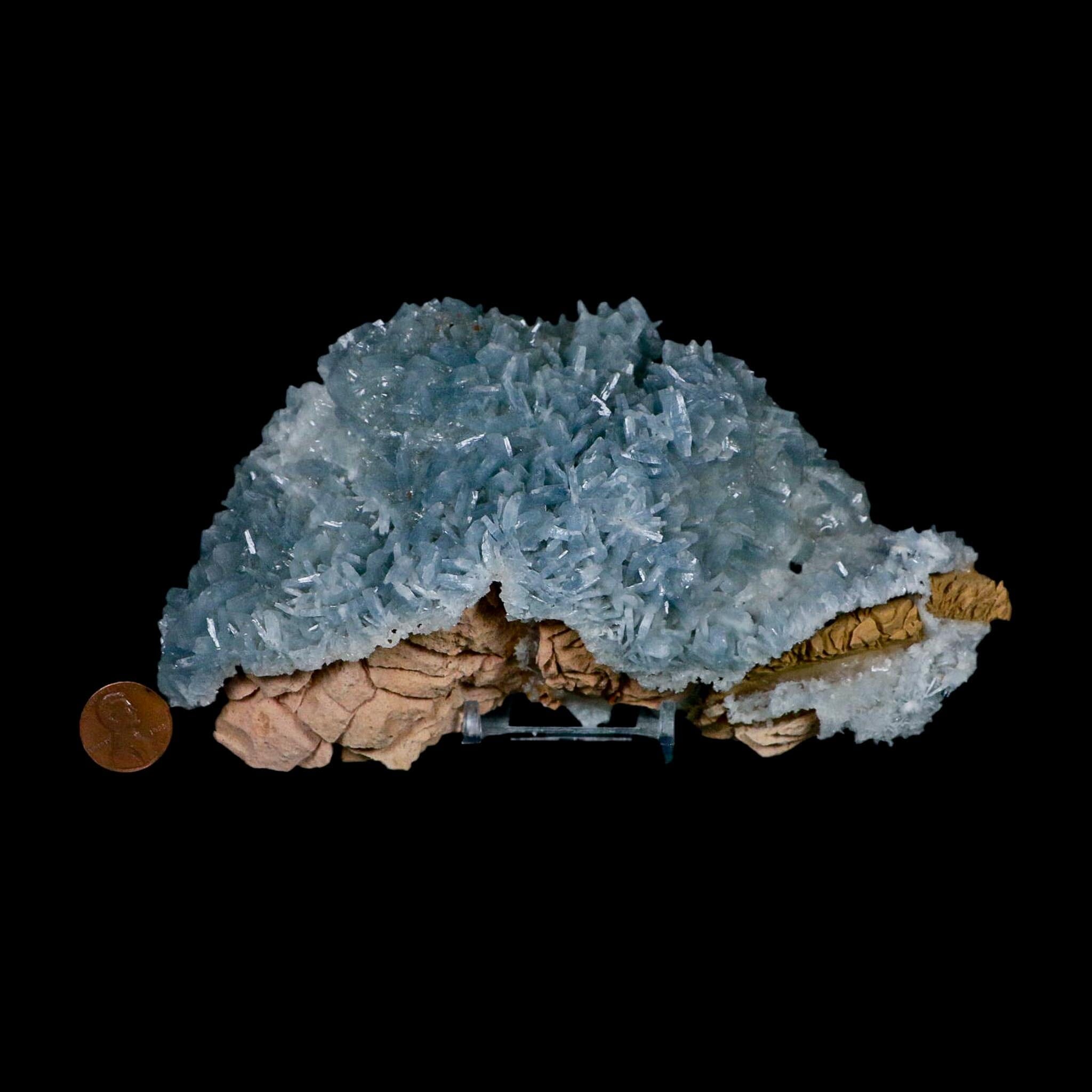 XL 7" Ice Blue Tabular Barite Blades Crystal Mineral Specimen Meknes-Tafilalet Morocco - Fossil Age Minerals