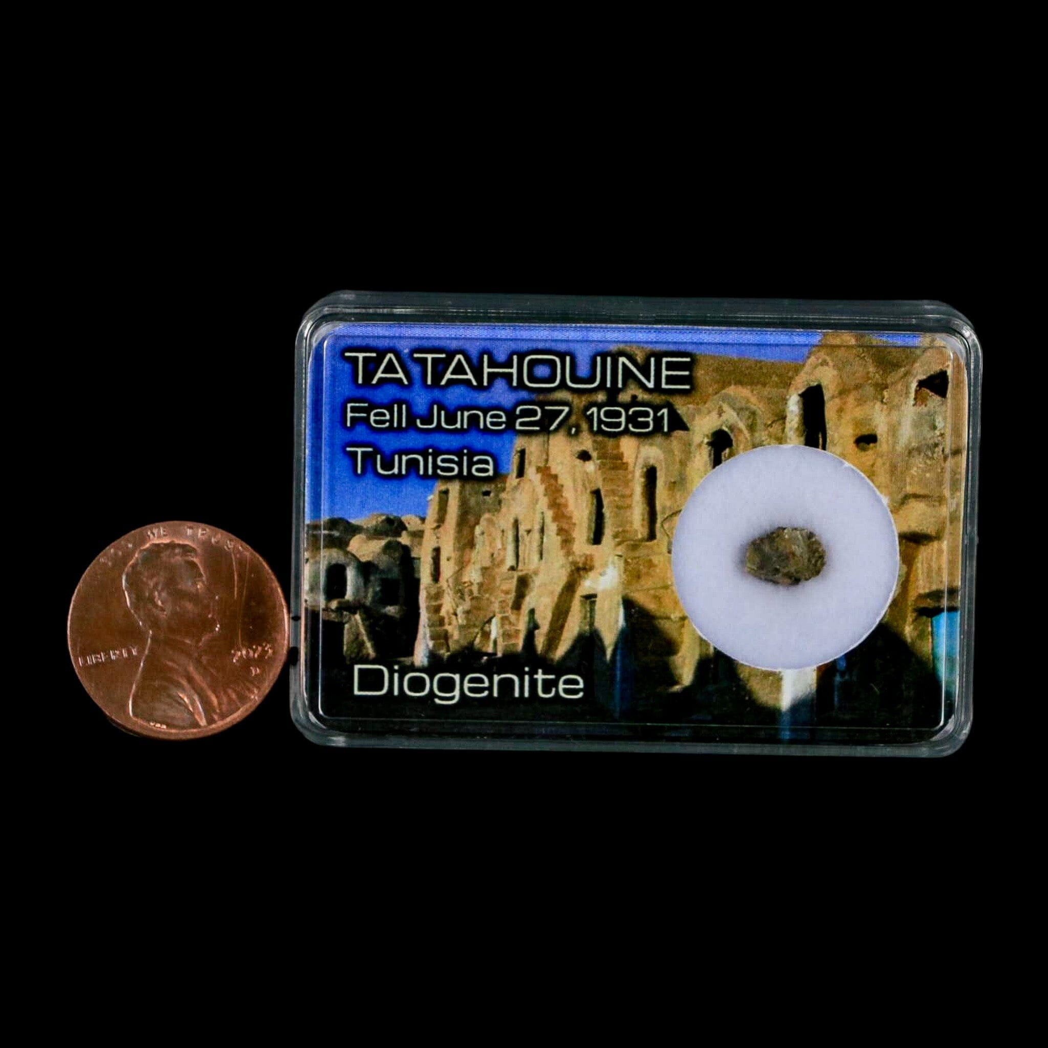 Tatahouine Diogenite Stony Meteorite Achondrites Specimen Fell June 24, 1931 Display - Fossil Age Minerals