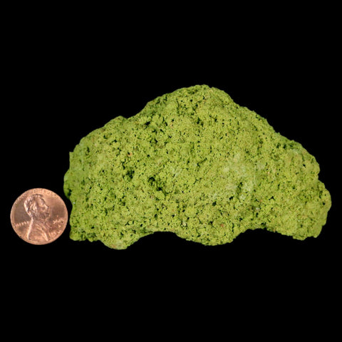 3.5" Rough Green Nontronite Mineral Specimen Jove Lauriano Minas Gerais Brazil - Fossil Age Minerals