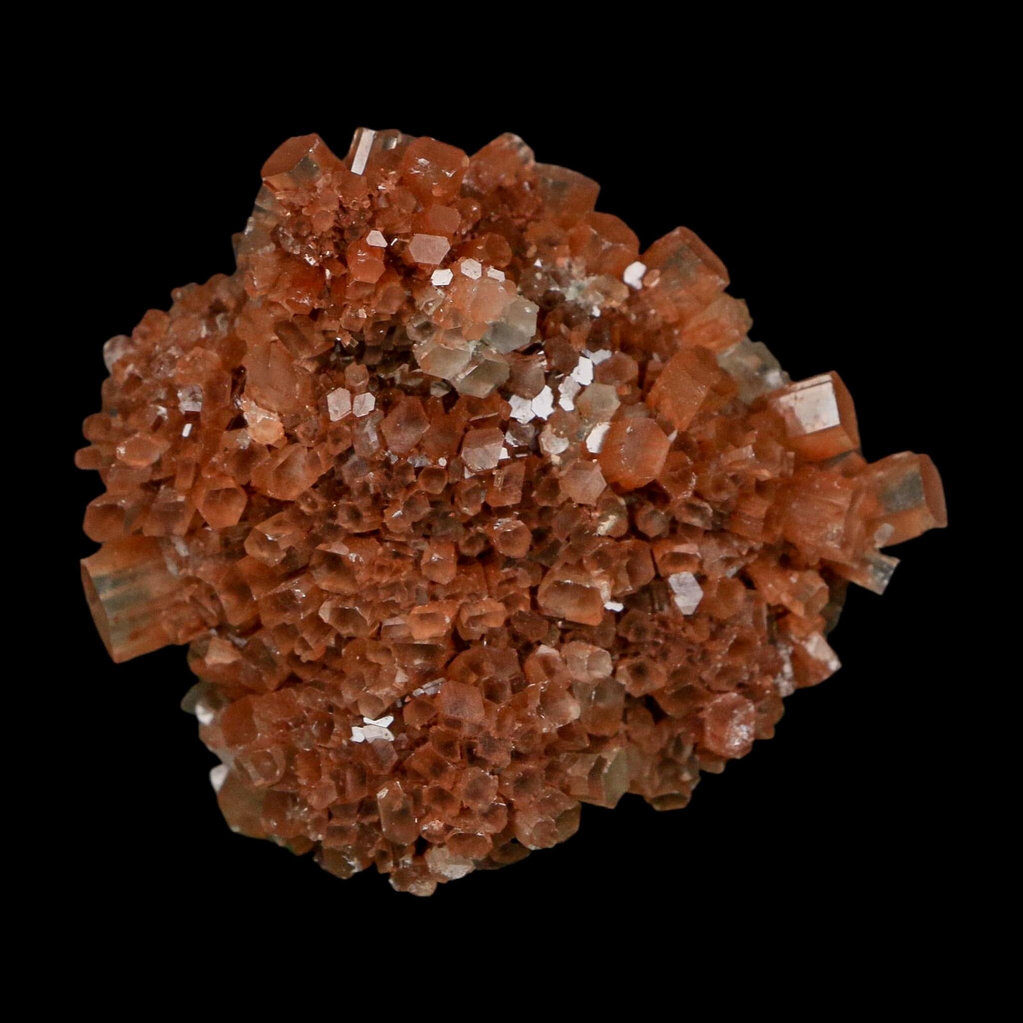 2.2" Aragonite Mineral Two Tone Crystal Cluster Specimen Tazouta Morocco - Fossil Age Minerals