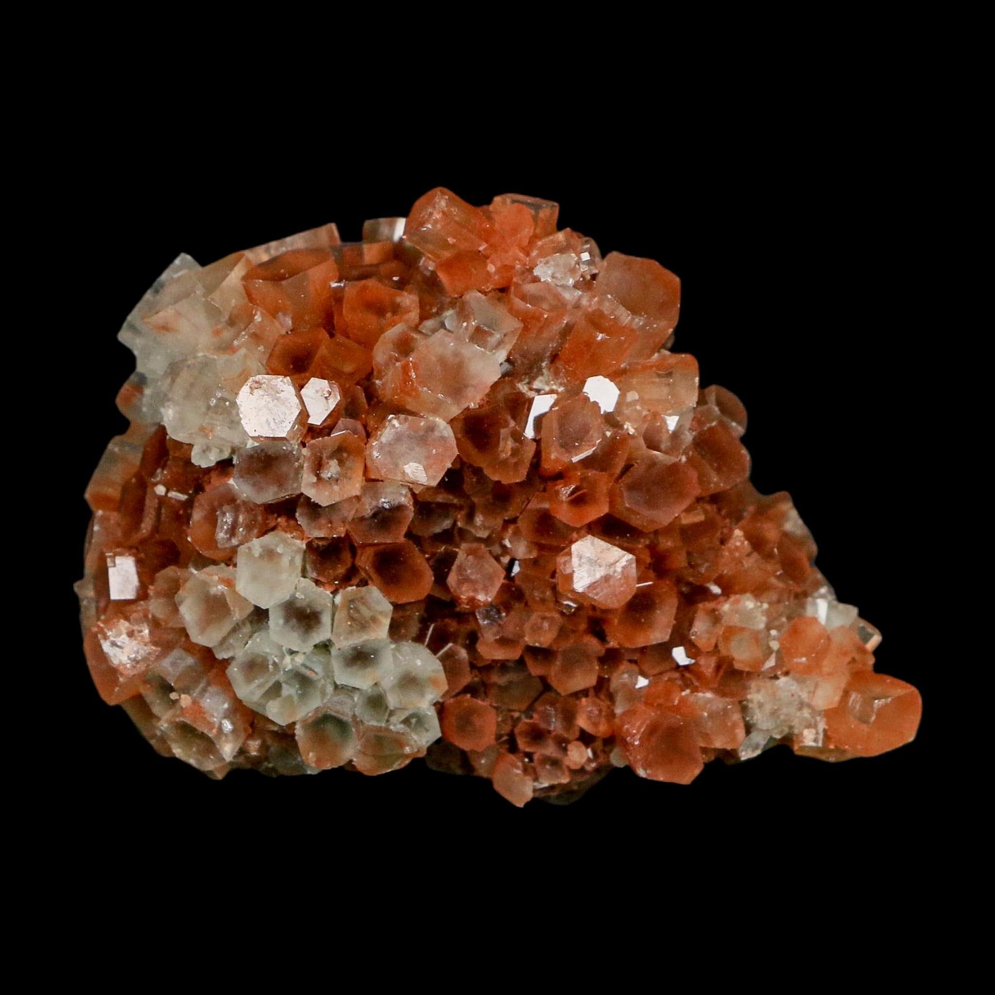 2.3" Aragonite Mineral Two Tone Crystal Cluster Specimen Tazouta Morocco - Fossil Age Minerals
