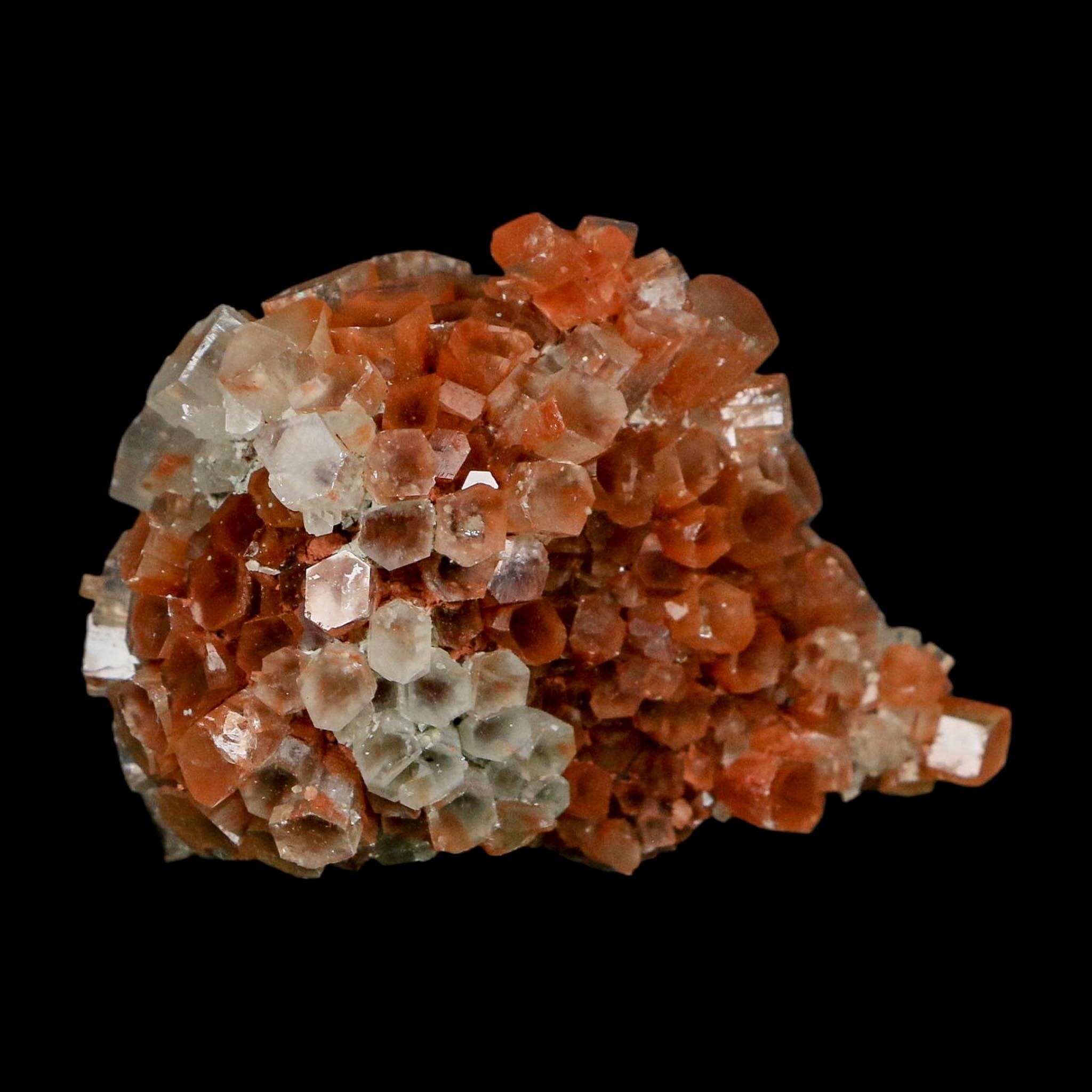 2.3" Aragonite Mineral Two Tone Crystal Cluster Specimen Tazouta Morocco - Fossil Age Minerals