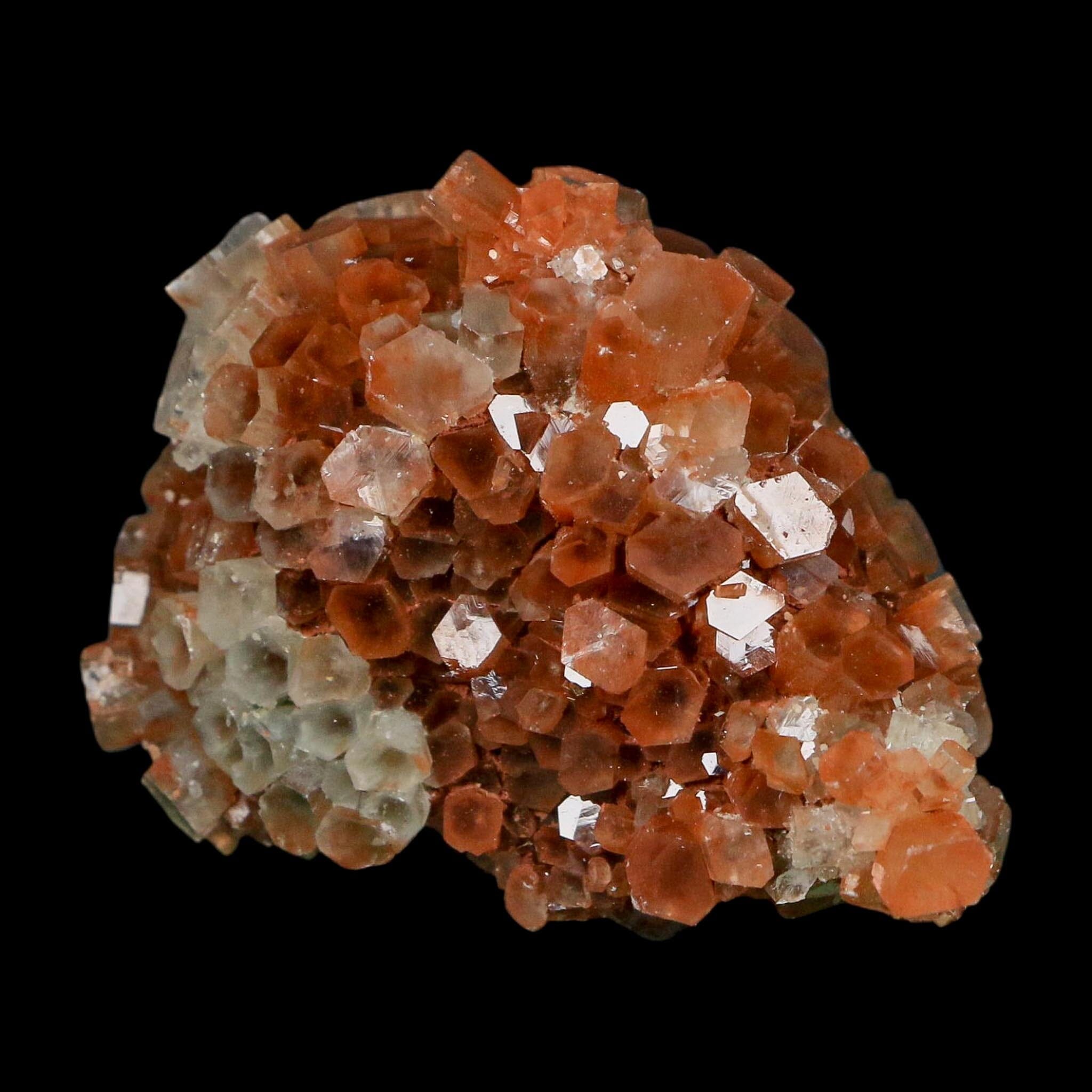 2.3" Aragonite Mineral Two Tone Crystal Cluster Specimen Tazouta Morocco - Fossil Age Minerals