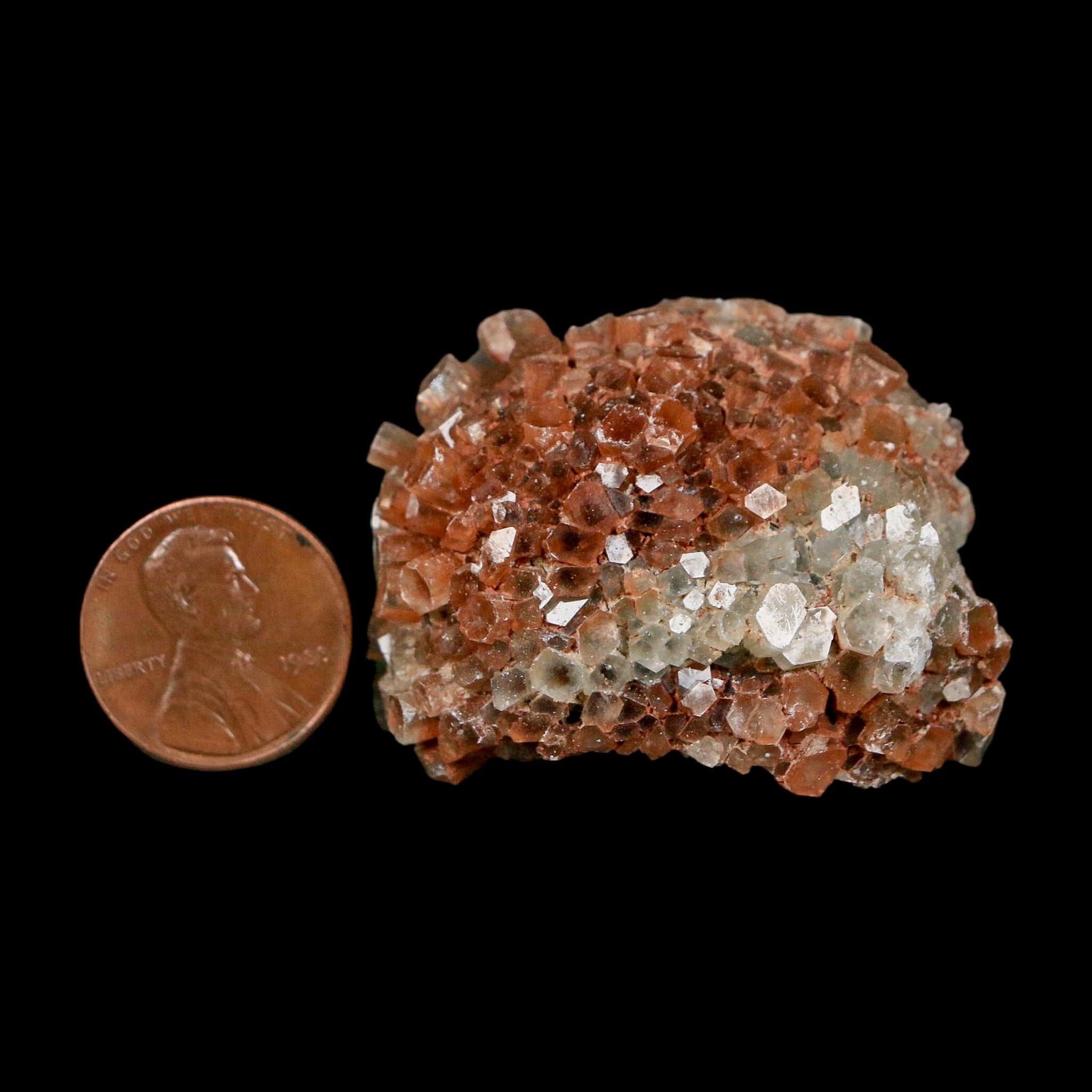 1.9" Aragonite Mineral Two Tone Crystal Cluster Specimen Tazouta Morocco - Fossil Age Minerals