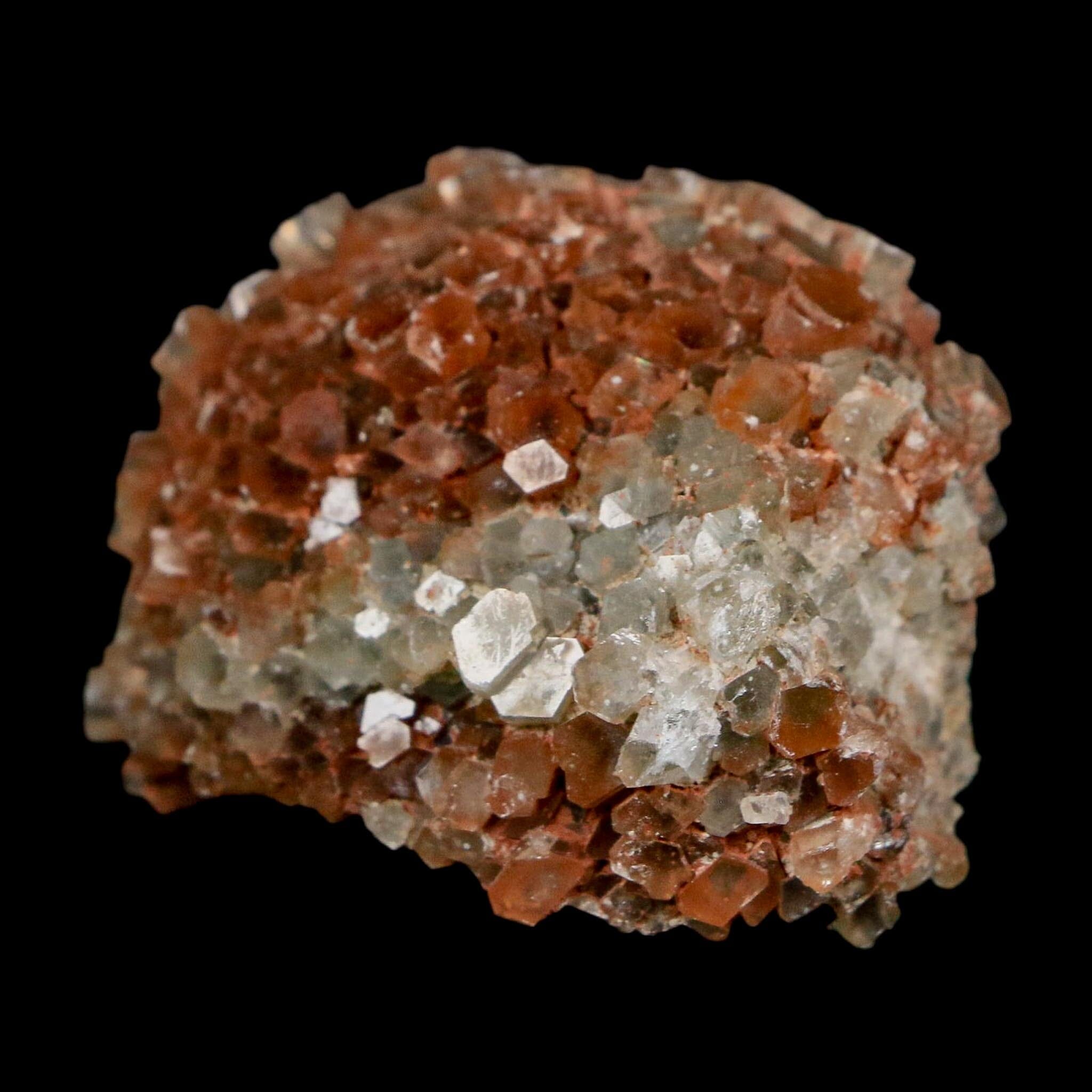 1.9" Aragonite Mineral Two Tone Crystal Cluster Specimen Tazouta Morocco - Fossil Age Minerals