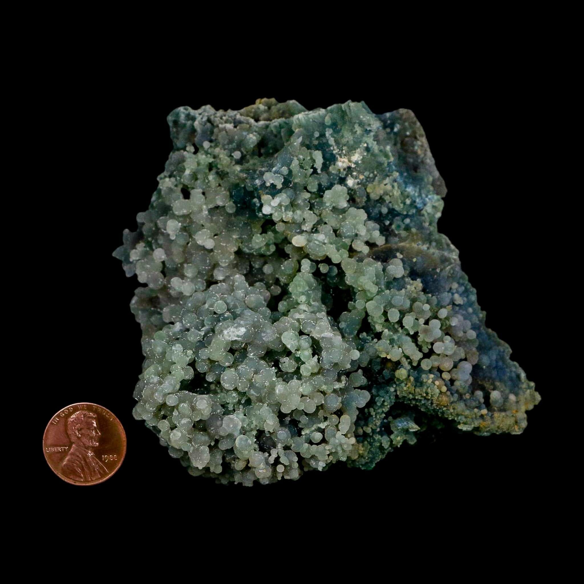3.8" Green Grape Agate Botryoidal Crystal Druzy Cluster Mineral Sulawesi Island - Fossil Age Minerals