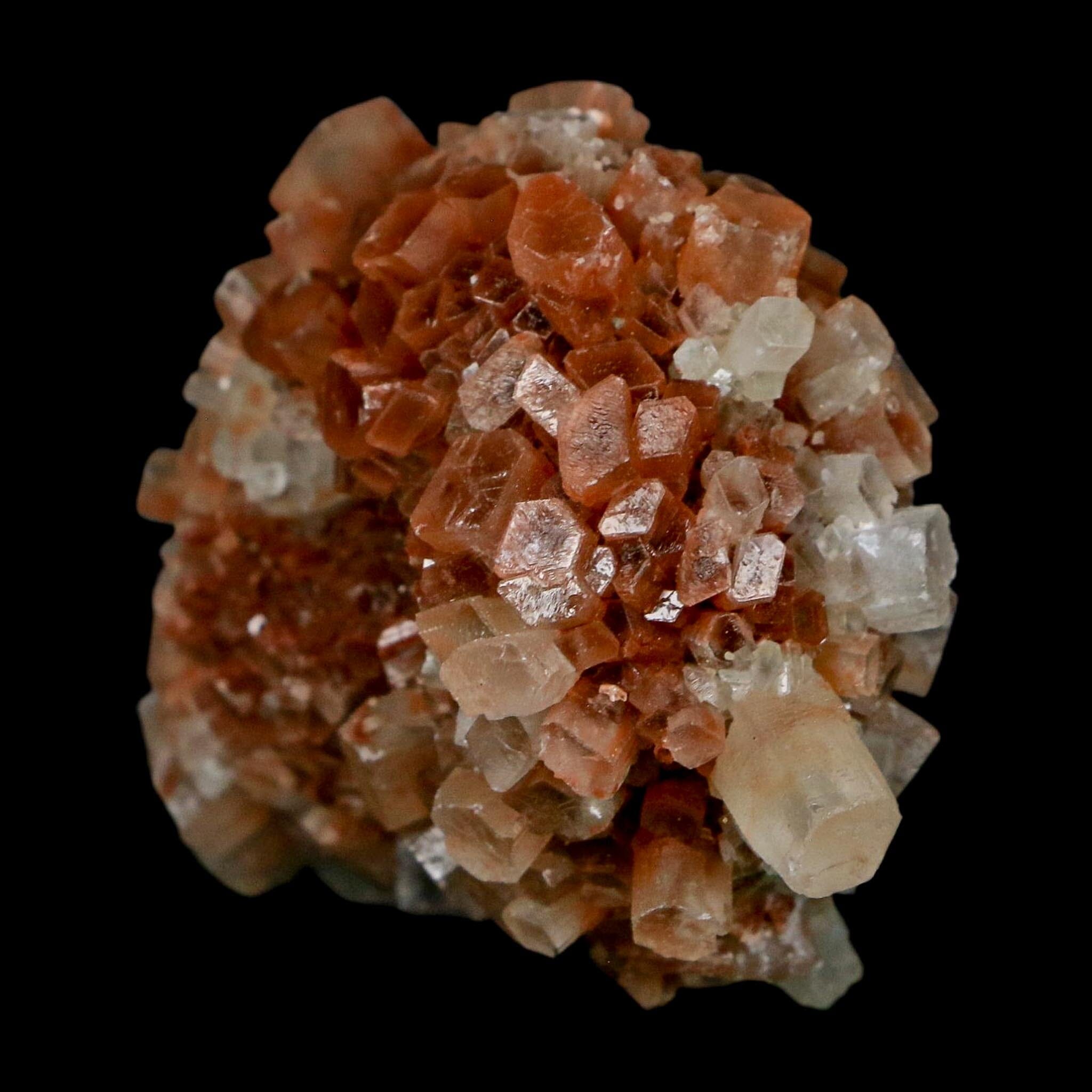 2.2" Aragonite Mineral Two Tone Crystal Cluster Specimen Tazouta Morocco - Fossil Age Minerals