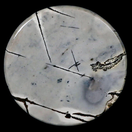 61MM Chinese Picture Jasper Mineral Specimen Round Polished Slab Liaoning, China