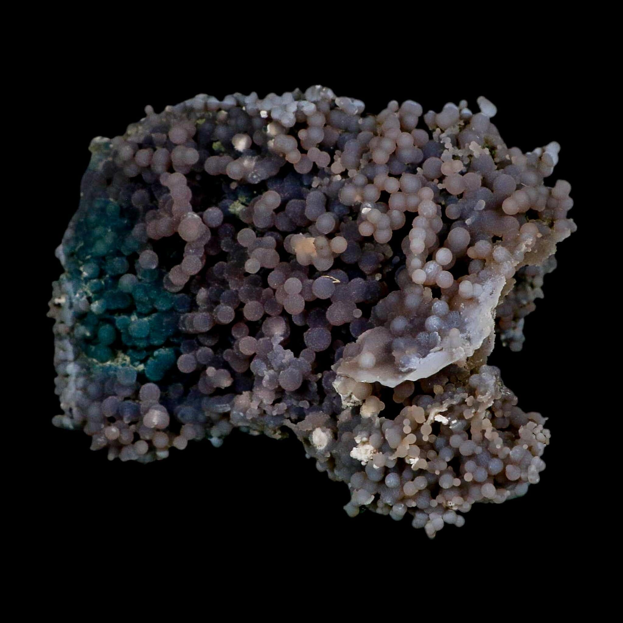 4.8" Purple Green Grape Agate Botryoidal Crystal Druzy Cluster Mineral Sulawesi Island - Fossil Age Minerals