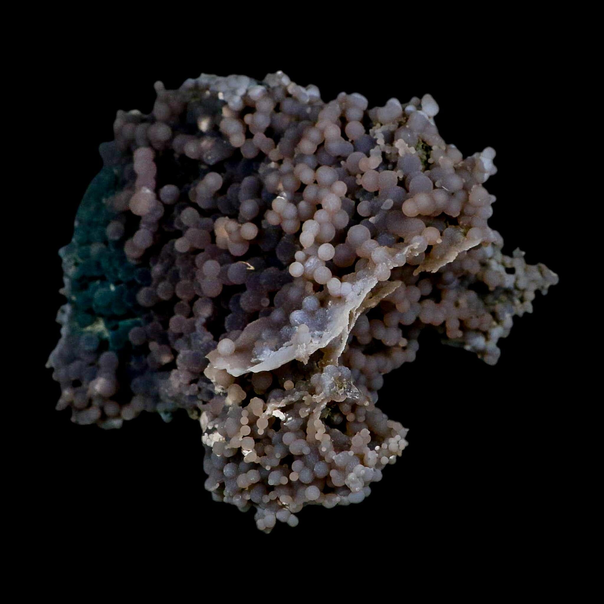 4.8" Purple Green Grape Agate Botryoidal Crystal Druzy Cluster Mineral Sulawesi Island - Fossil Age Minerals