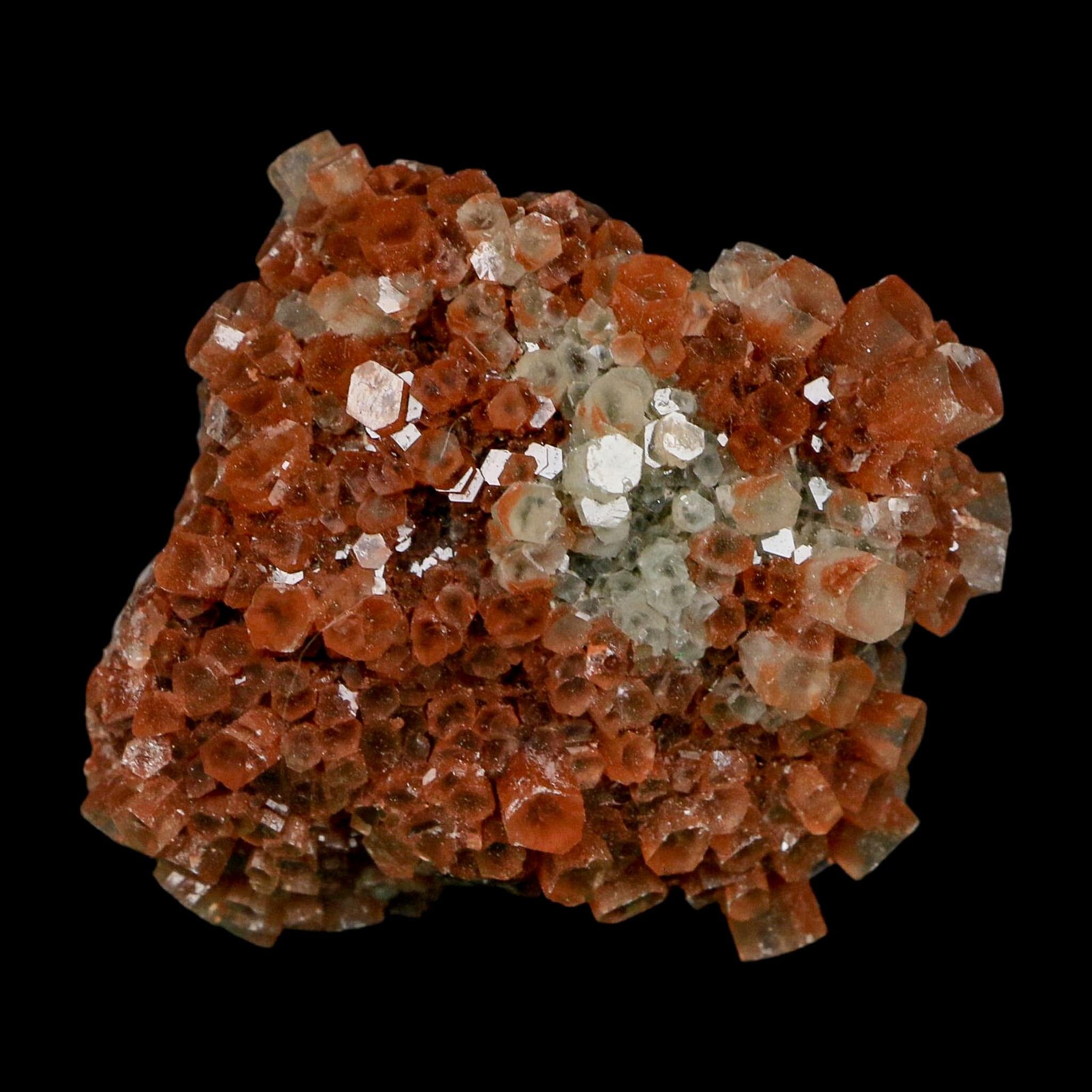 2.1" Aragonite Mineral Two Tone Crystal Cluster Specimen Tazouta Morocco - Fossil Age Minerals