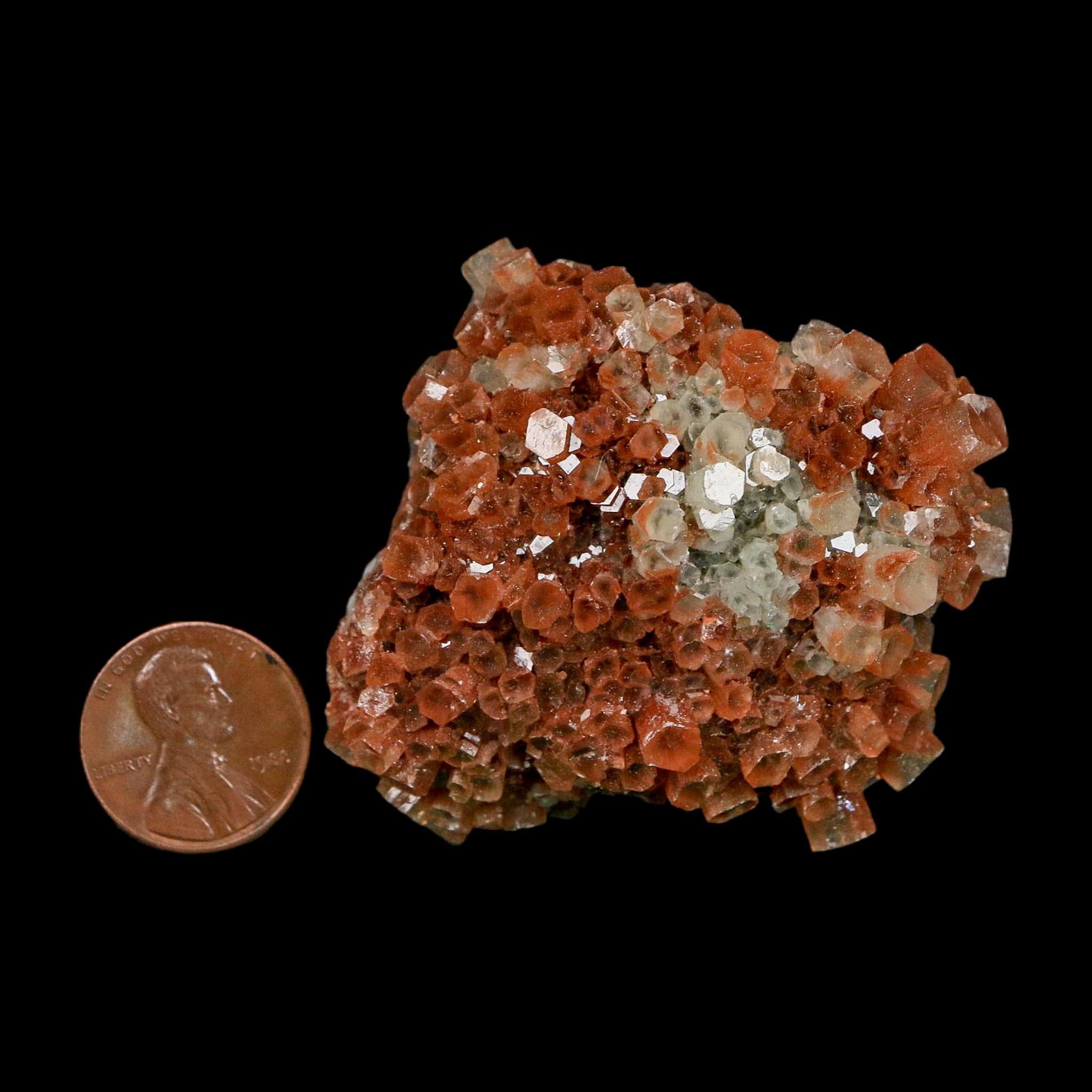 2.1" Aragonite Mineral Two Tone Crystal Cluster Specimen Tazouta Morocco - Fossil Age Minerals