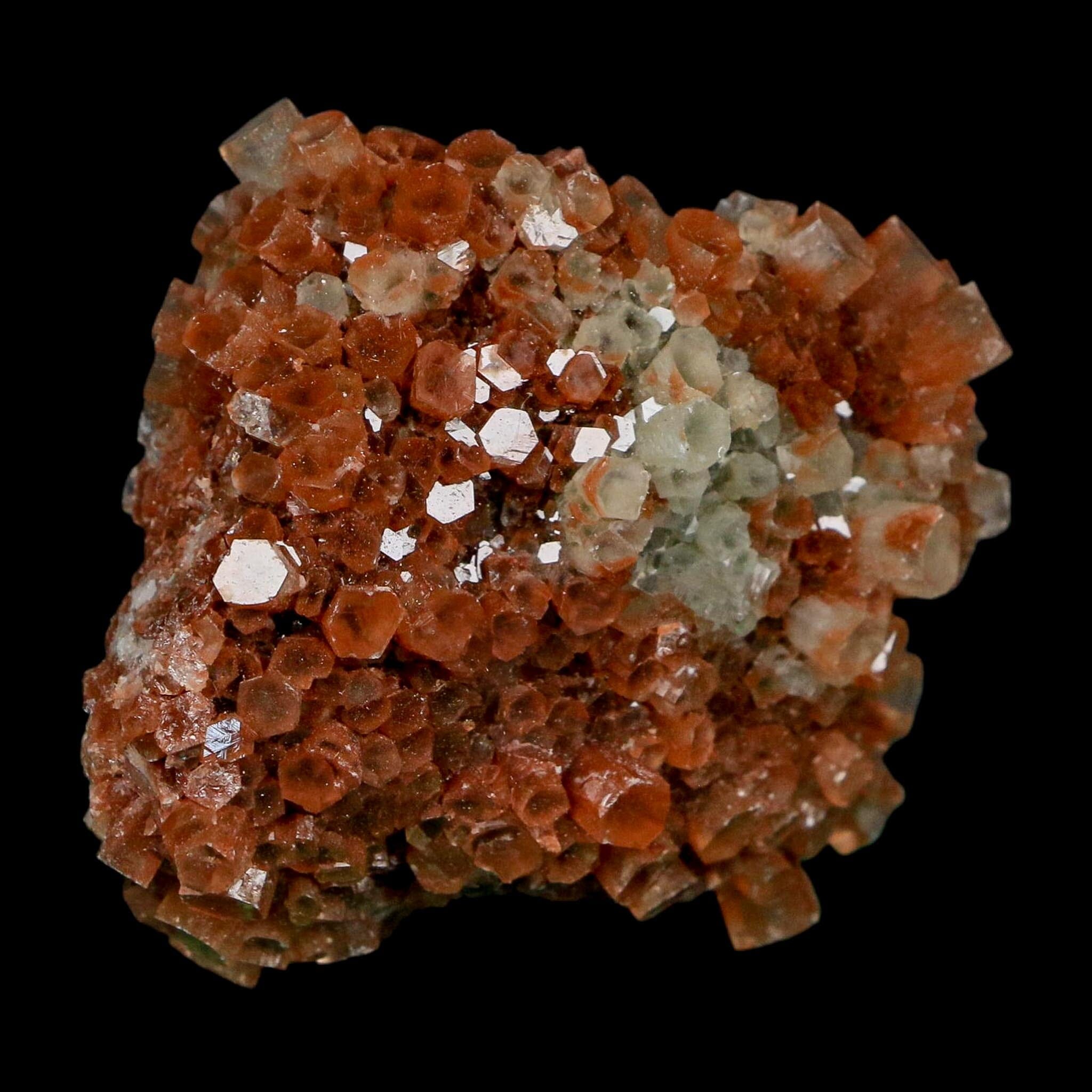 2.1" Aragonite Mineral Two Tone Crystal Cluster Specimen Tazouta Morocco - Fossil Age Minerals