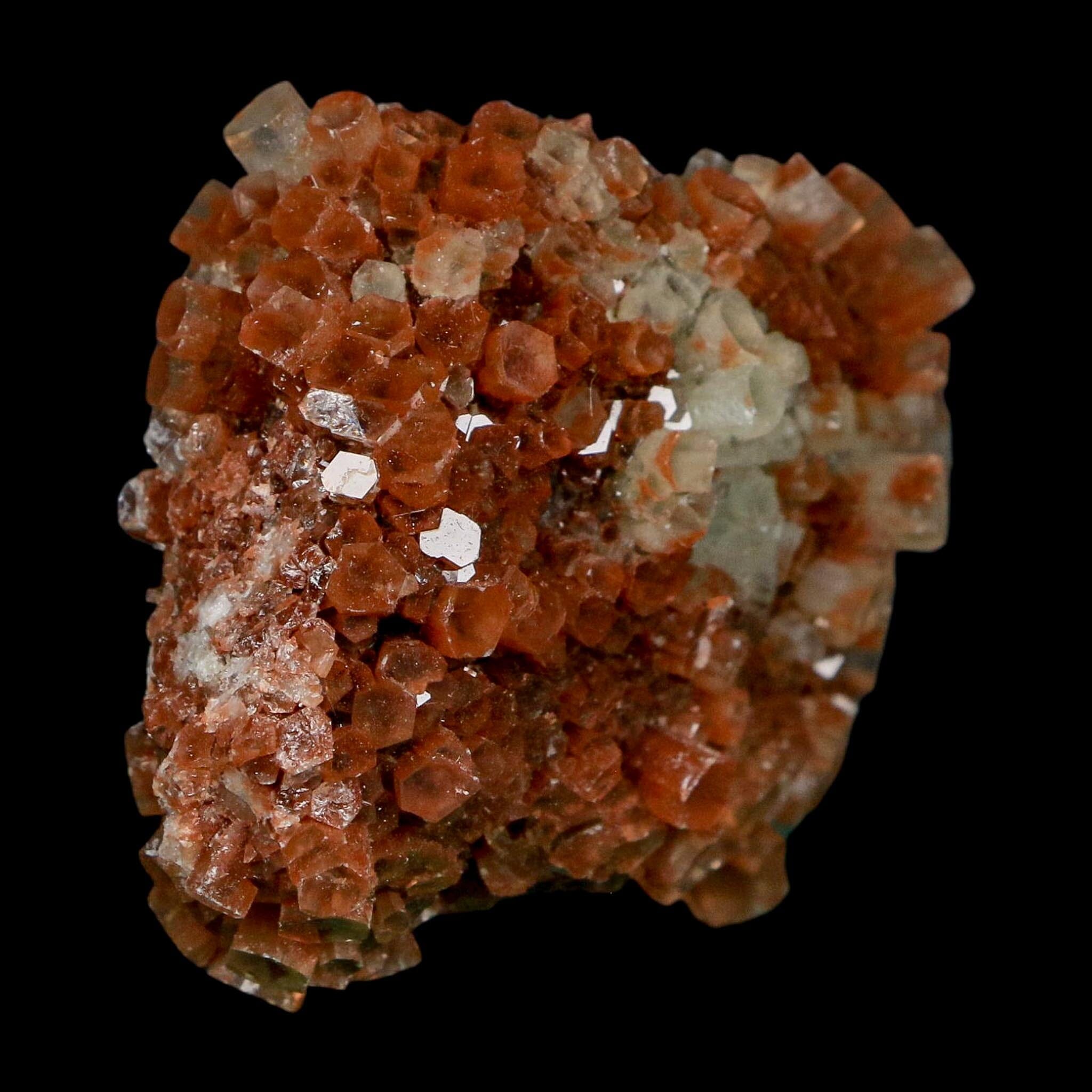 2.1" Aragonite Mineral Two Tone Crystal Cluster Specimen Tazouta Morocco - Fossil Age Minerals