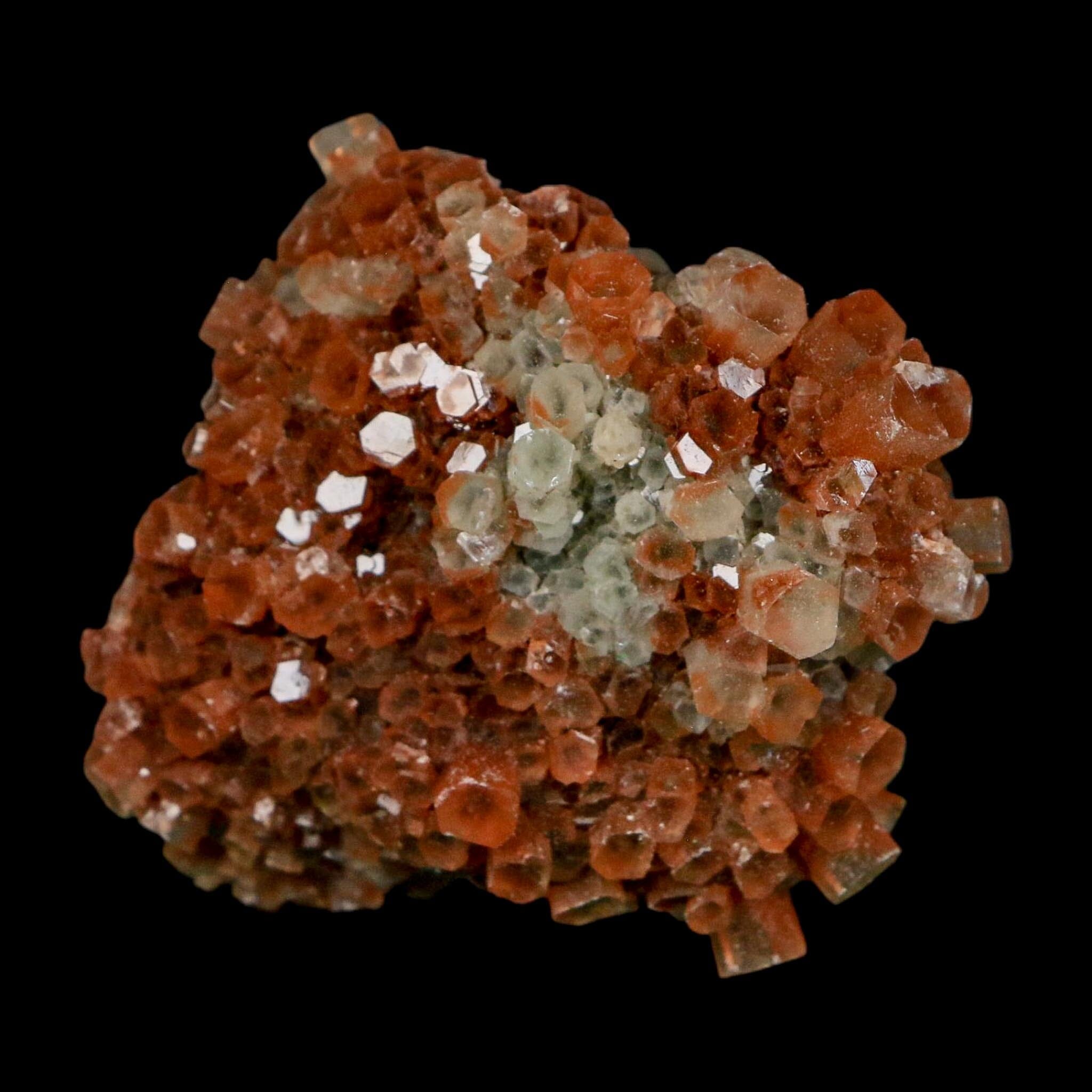 2.1" Aragonite Mineral Two Tone Crystal Cluster Specimen Tazouta Morocco - Fossil Age Minerals