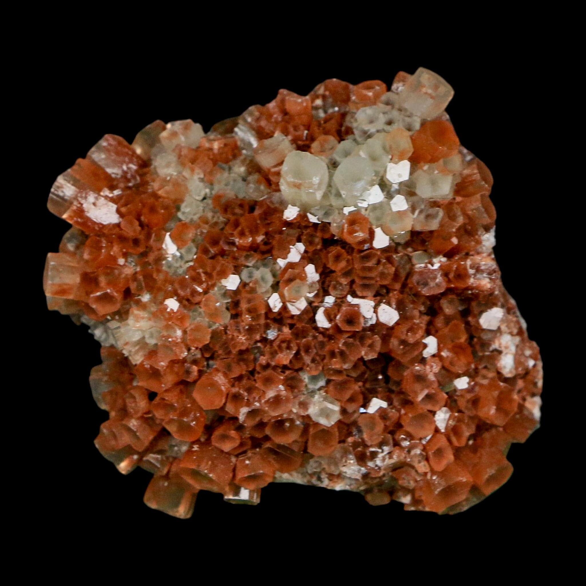 2.1" Aragonite Mineral Two Tone Crystal Cluster Specimen Tazouta Morocco - Fossil Age Minerals