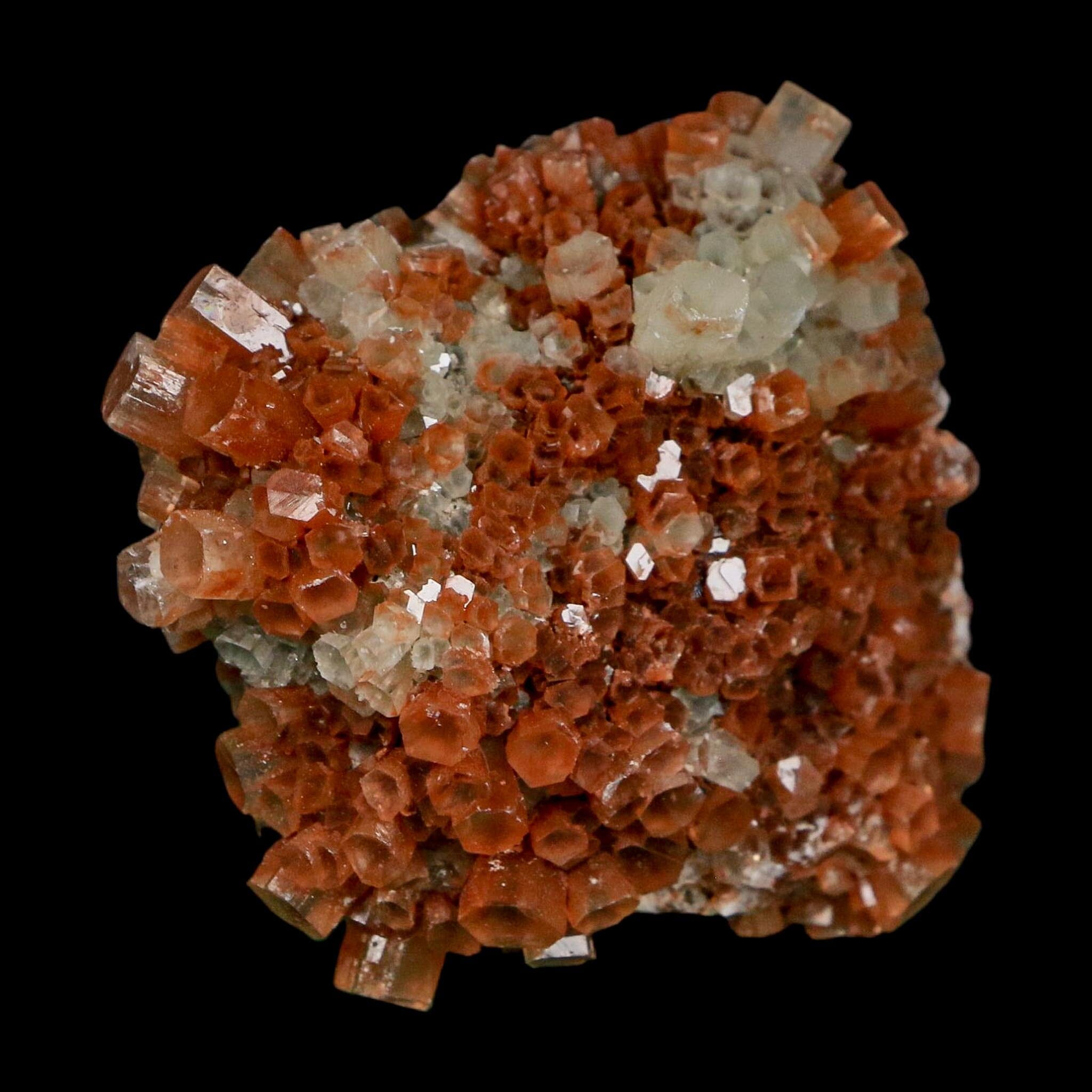 2.1" Aragonite Mineral Two Tone Crystal Cluster Specimen Tazouta Morocco - Fossil Age Minerals