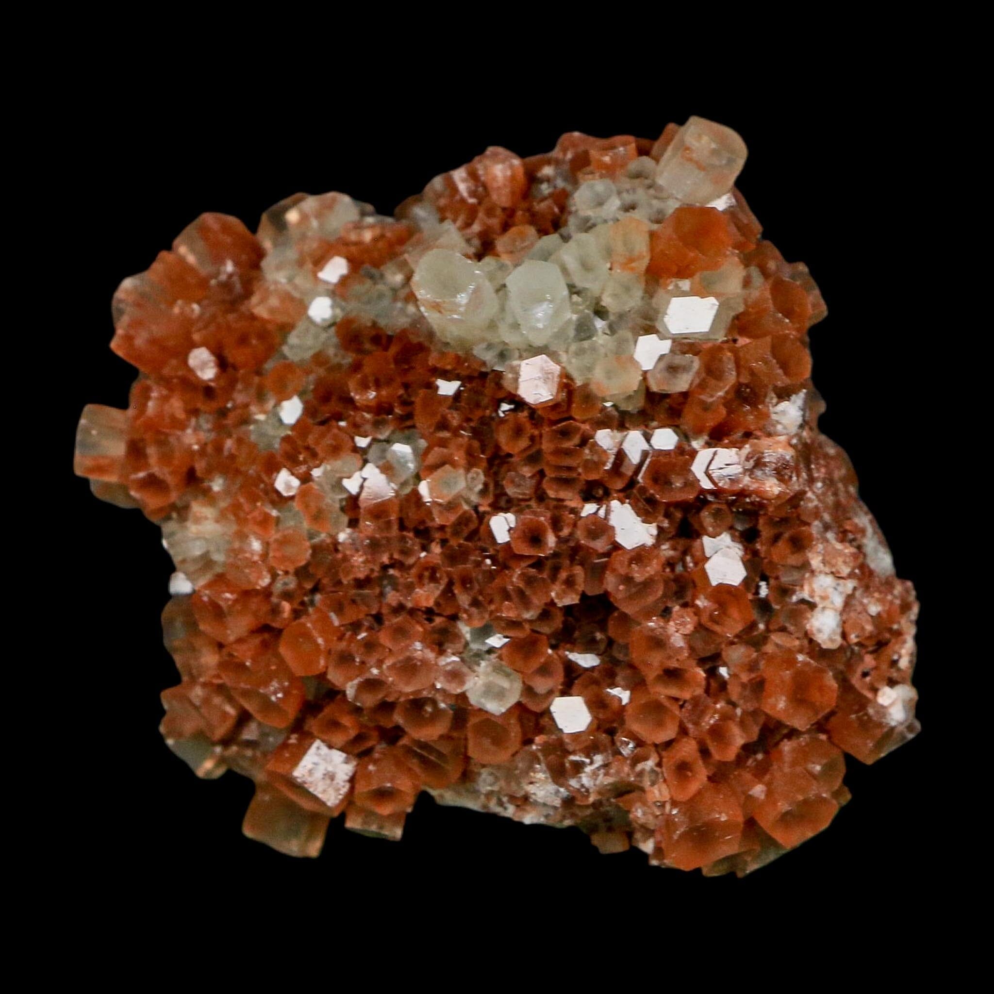 2.1" Aragonite Mineral Two Tone Crystal Cluster Specimen Tazouta Morocco - Fossil Age Minerals