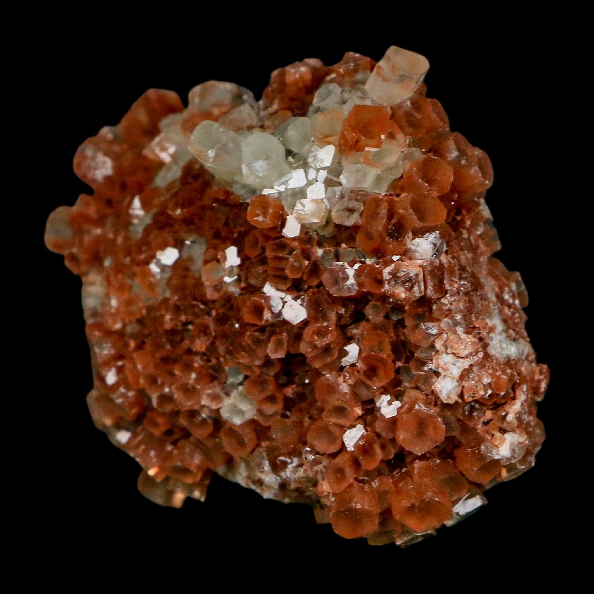 2.1" Aragonite Mineral Two Tone Crystal Cluster Specimen Tazouta Morocco - Fossil Age Minerals