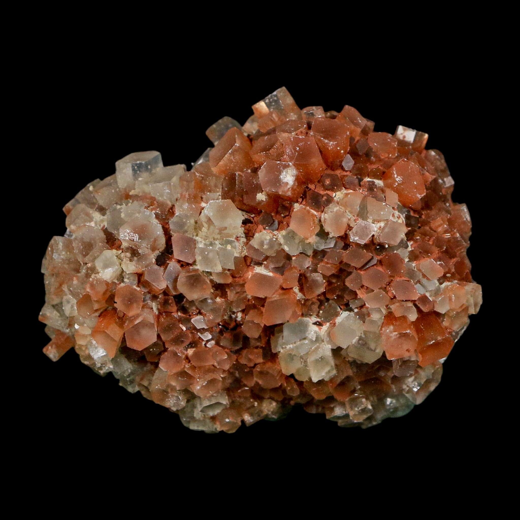2.2" Aragonite Mineral Two Tone Crystal Cluster Specimen Tazouta Morocco - Fossil Age Minerals