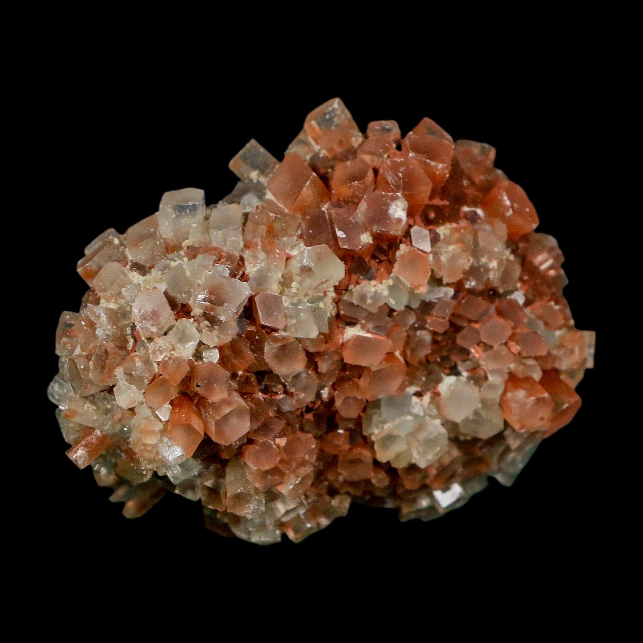 2.2" Aragonite Mineral Two Tone Crystal Cluster Specimen Tazouta Morocco - Fossil Age Minerals