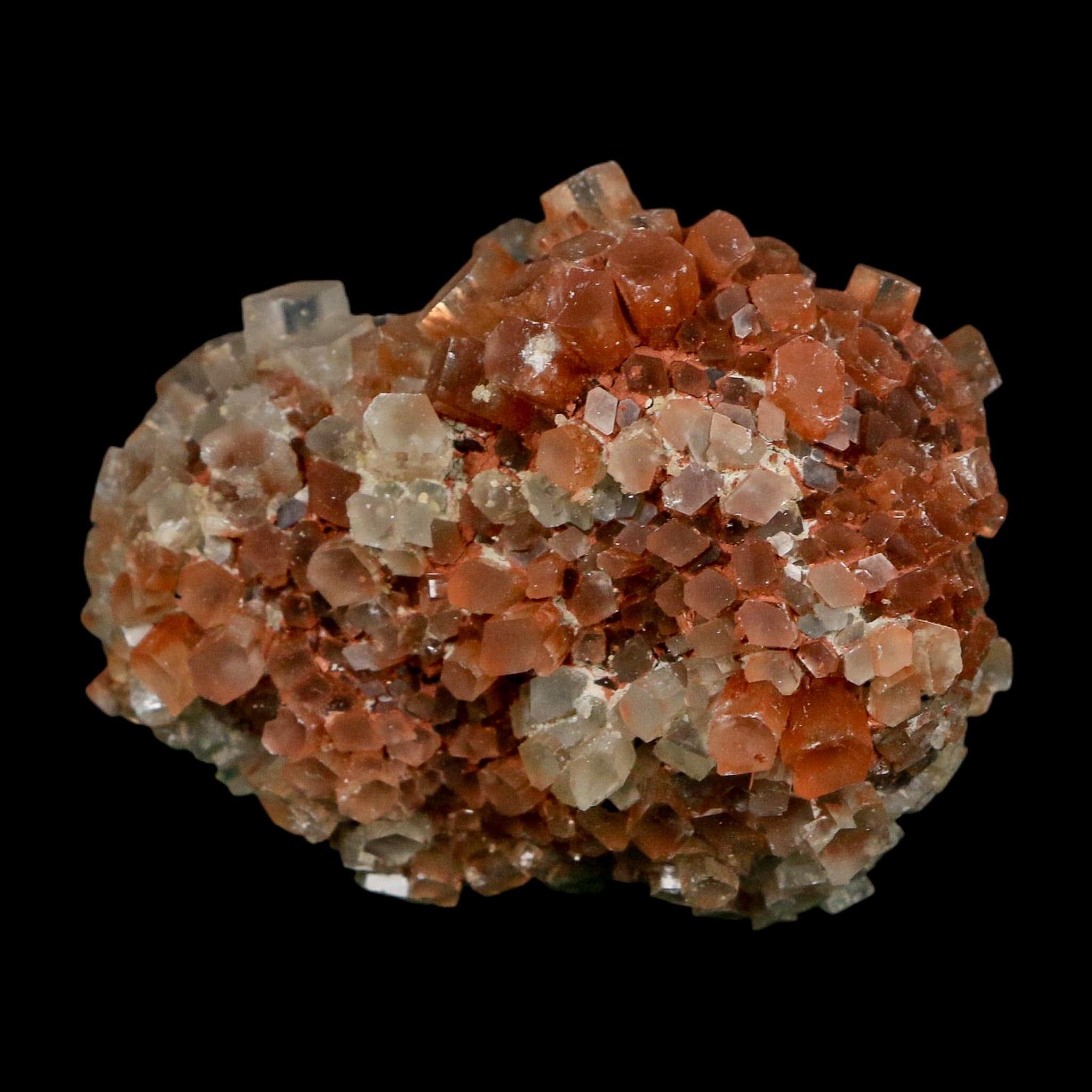 2.2" Aragonite Mineral Two Tone Crystal Cluster Specimen Tazouta Morocco - Fossil Age Minerals