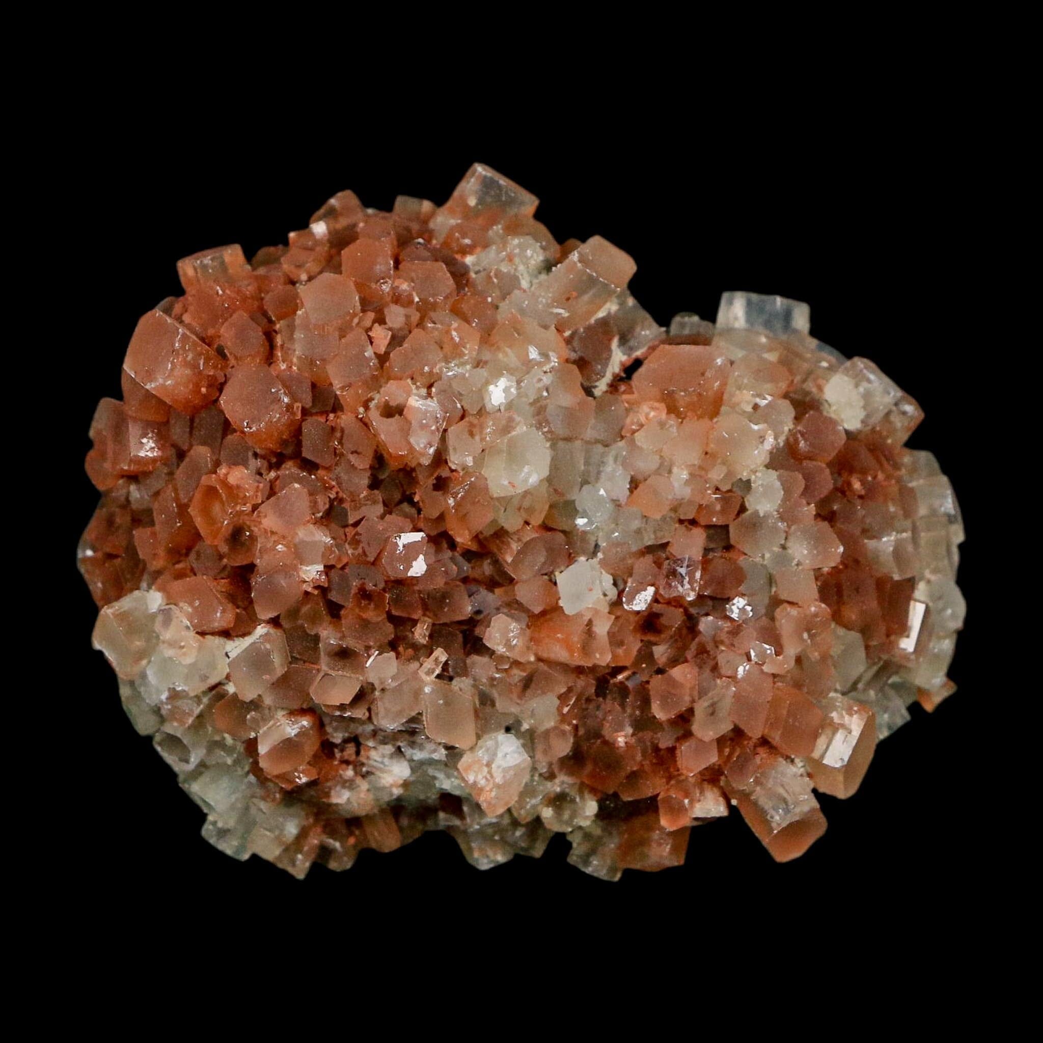 2.2" Aragonite Mineral Two Tone Crystal Cluster Specimen Tazouta Morocco - Fossil Age Minerals