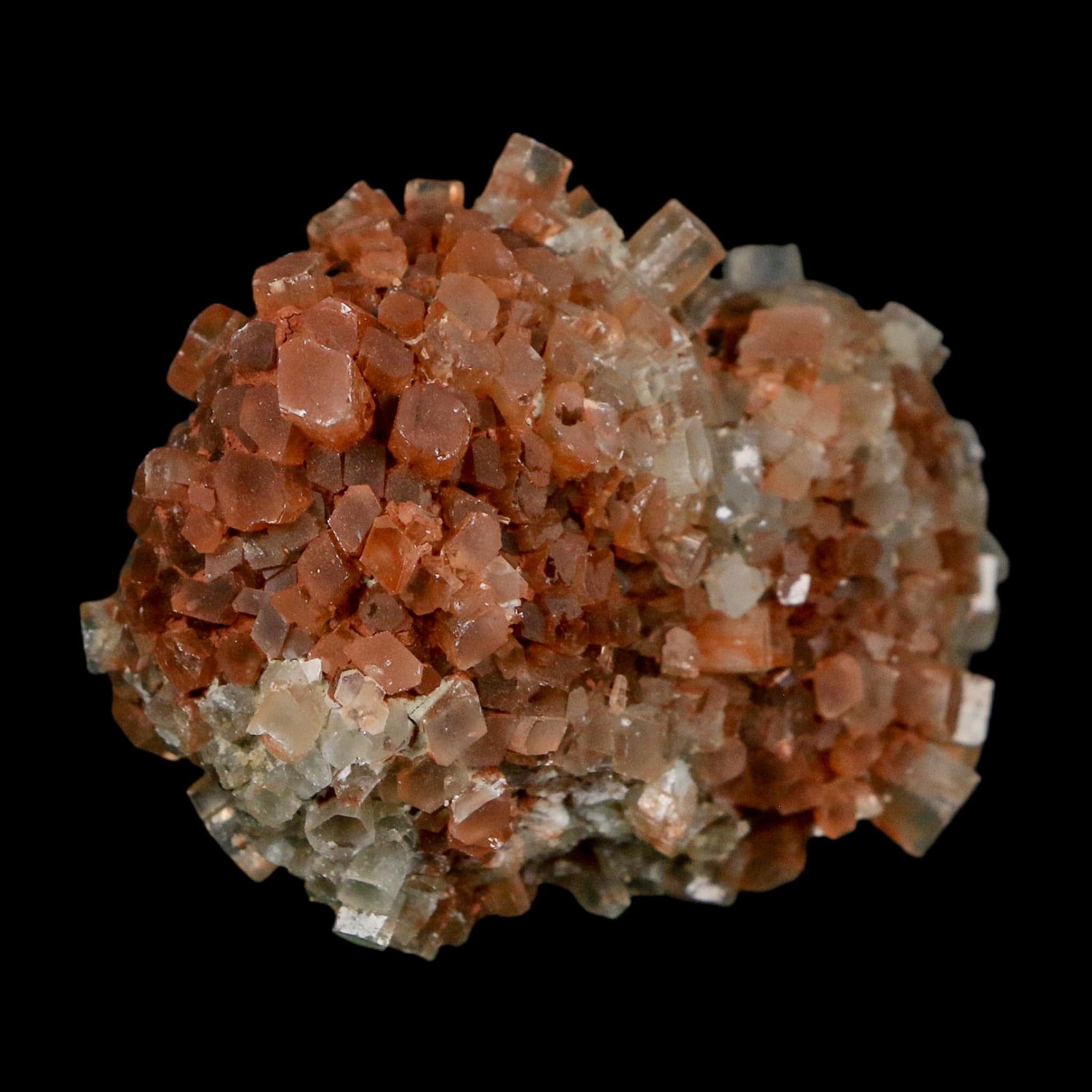 2.2" Aragonite Mineral Two Tone Crystal Cluster Specimen Tazouta Morocco - Fossil Age Minerals