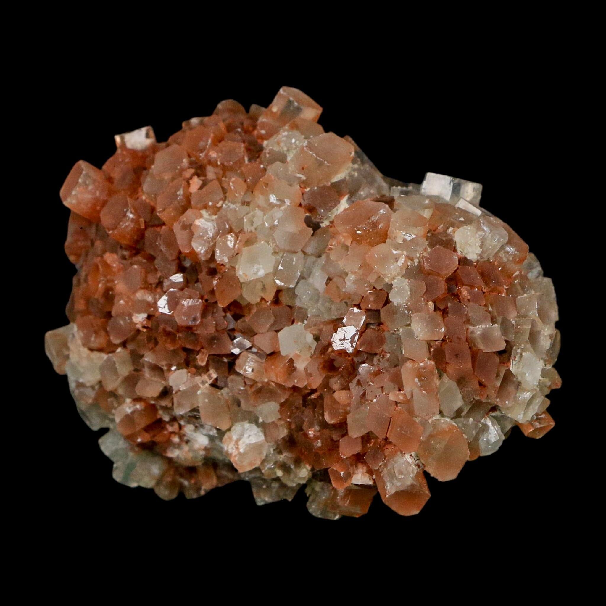 2.2" Aragonite Mineral Two Tone Crystal Cluster Specimen Tazouta Morocco - Fossil Age Minerals