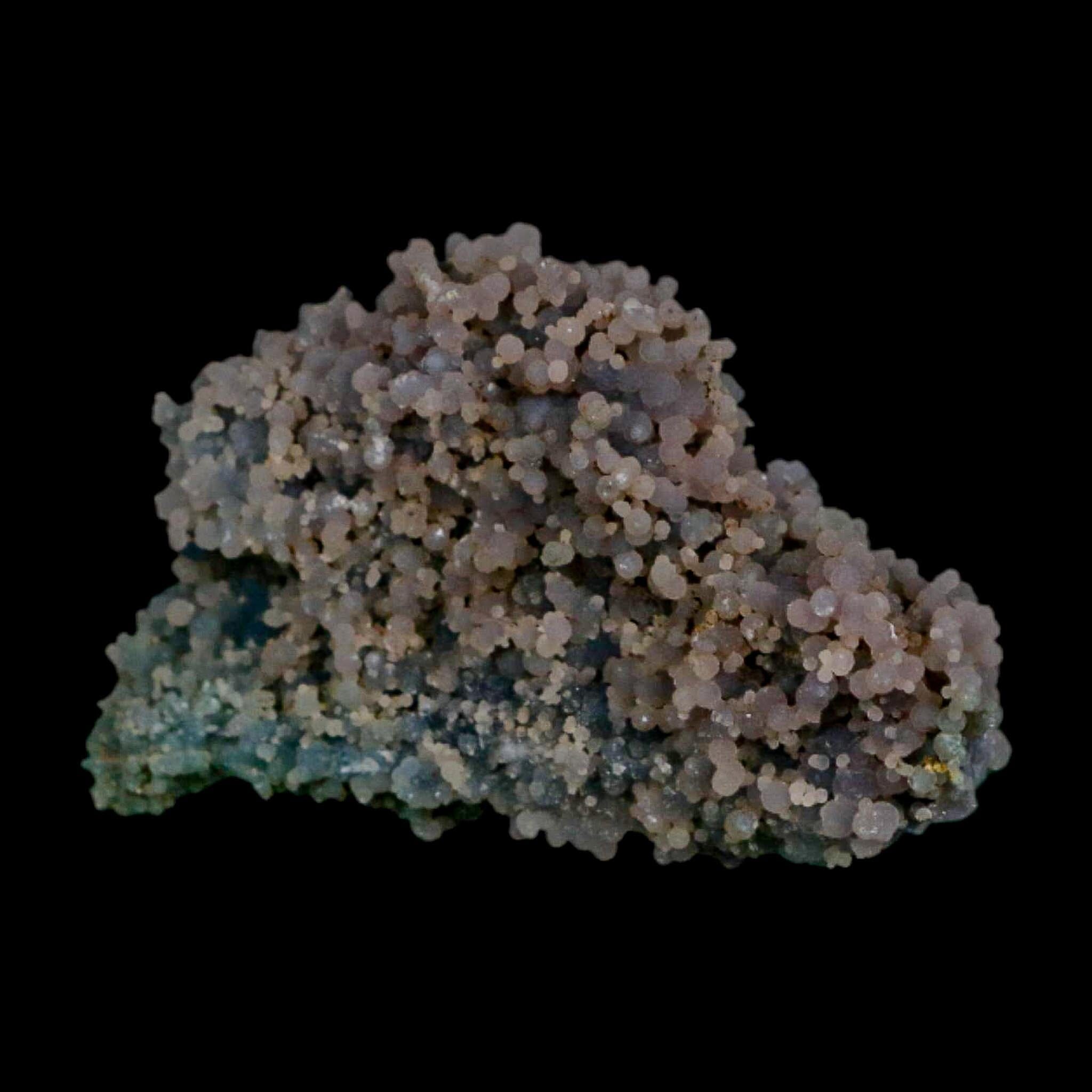 2.9" Purple Green Grape Agate Botryoidal Crystal Druzy Cluster Mineral Sulawesi Island - Fossil Age Minerals