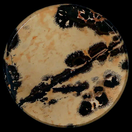 61MM Chinese Picture Jasper Mineral Specimen Round Polished Slab Liaoning, China