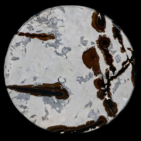 60MM Chinese Picture Jasper Mineral Specimen Round Polished Slab Liaoning, China