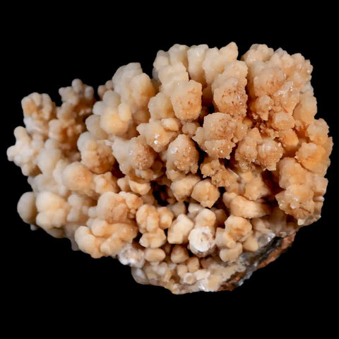 4.2" Botryoidal Aragonite Cave Calcite Crystal Cluster Mineral Specimen Morocco - Fossil Age Minerals